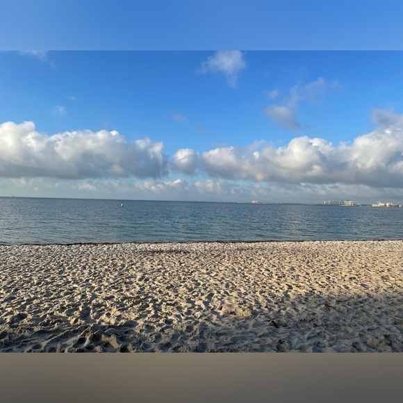 Meet your Posher, Priscilla rosa - Picture 5 of 11